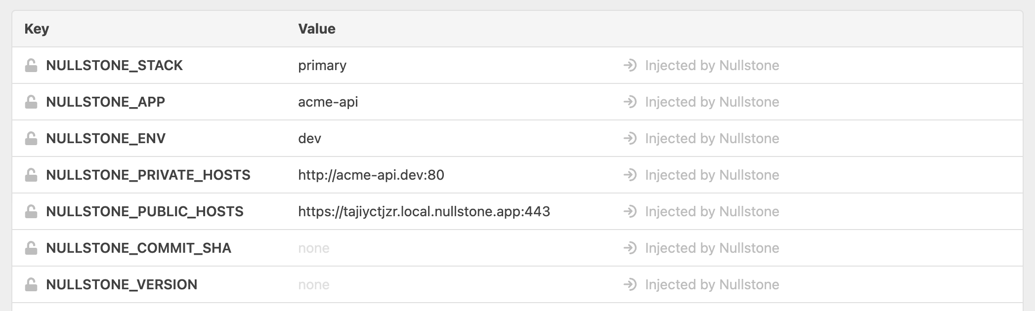 Nullstone Environment Variables